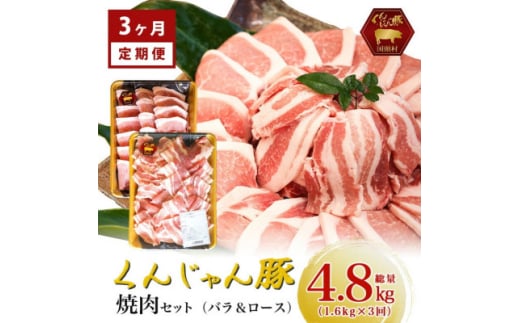 ＜毎月定期便＞くんじゃん豚 焼肉セット(バラ・ロース)計4.8kg全3回【4067076】