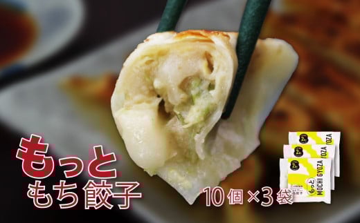 いちのせき もっともち餃子 ぎょうざ ギョウザ ギョーザ 惣菜 岩手県 一関市 焼き餃子 水餃子 冷凍 2072970 - 岩手県一関市