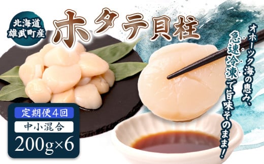 【定期便4回】　北海道雄武町産ほたて貝柱 中小混合 200g×6 (冷凍) 使い切りパック | ふるさと納税 北海道 雄武 ホタテ 帆立 ほたて 小粒 中粒 大粒 200g×6 4.8kg 冷凍 オホーツク オホーツク産 刺身 魚貝 魚介 海鮮 海産 海産物 魚介類 お取り寄せ ワンストップ マイページ 雄武漁業協同組合【07143】 2090212 - 北海道雄武町