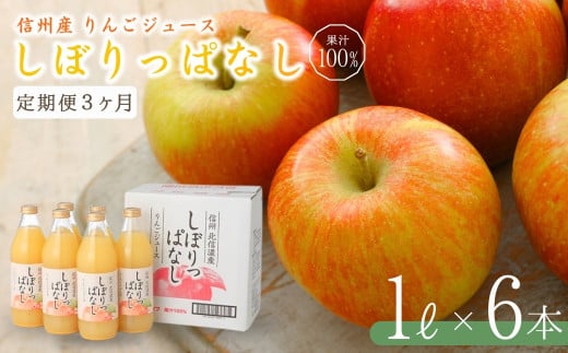 [定期便3ヶ月]信州産 りんごジュース 「しぼりっぱなし」 ストレート果汁100% (1L×6本) フルーツジュース ストレートジュース 千曲市 長野県 信州