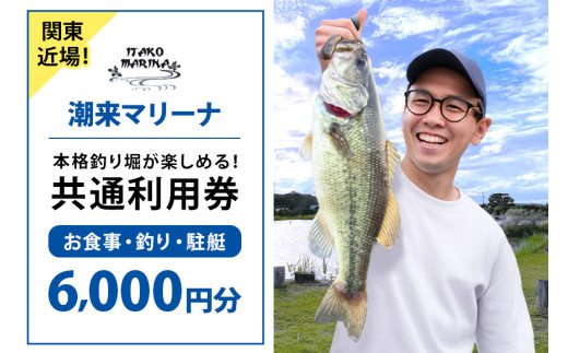 潮来マリーナ 施設内共通利用券 6,000円分 (1,000円×6枚) へらブナ釣り ブラックバス釣り ニジマス釣り 渚食堂 バスボート駐艇場利用可能 釣り堀体験 レジャー チケット 茨城県 潮来市 (A49-002) 2033675 - 茨城県潮来市