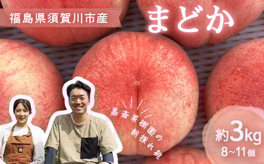 ＜先行受付＞ 嘉斎果樹園の桃「まどか」約3kg（8～11個） もも モモ 桃 デザート フルーツ 果物 くだもの 果実 食品 F7X-0140