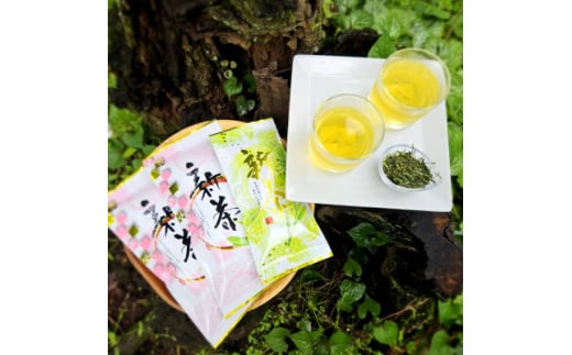 相模湾のミネラルで育つ茶葉!香り豊かに、色鮮やかに♪初摘み新茶3袋セット【1617067】