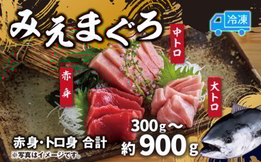 先行予約 マグロ 詰め合わせ 300g 〜 900g 本まぐろ 本鮪 刺身 刺し身 マグロ丼 海鮮丼 大トロ 中トロ トロ 赤身 国産 養殖 みえまぐろ 三重 南伊勢町 伊勢 志摩