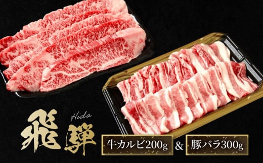 飛騨牛 カルビ200g & 飛騨豚 バラ300g | 食べ比べ セット 焼肉 国産牛 豚肉 飛騨高山 人気 おいしい ファミリーストアさとう CY043 1476093 - 岐阜県高山市