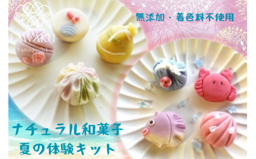 D075 ナチュラル和菓子体験キット（こしあん＆チョコあん） 1179041 - 山口県山口市