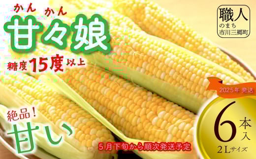【2025年5月下旬から発送】とうもろこし 甘々娘 6本入り 横田農園 （山梨県市川三郷町産）[5839-2231]