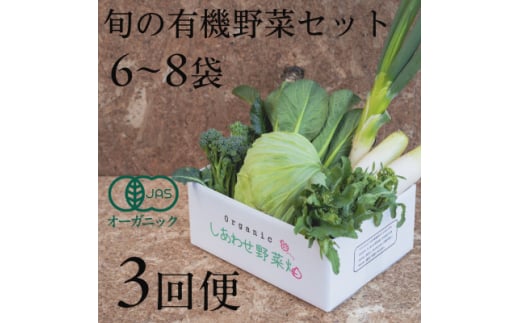 ＜毎月定期便＞しあわせ野菜畑の有機野菜　Sセット　(安心の有機JAS認証　オーガニック野菜)全3回【4066005】