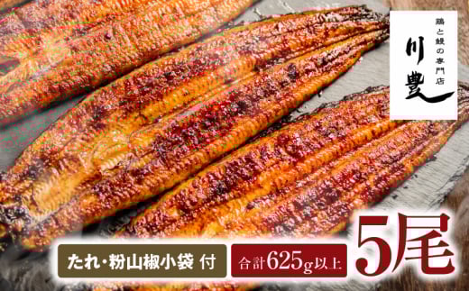 1043-2 昭和56年創業 うなぎの川豊 うなぎ蒲焼5尾 KN049-001-05 1022994 - 鹿児島県鹿屋市