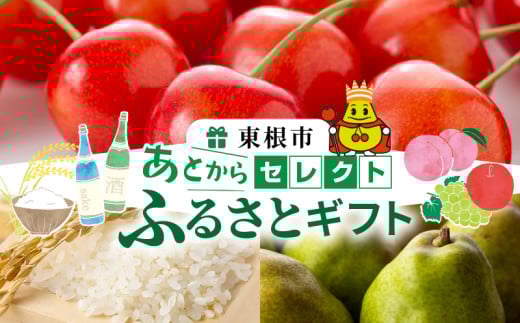 山形県東根市 あとからセレクト【ふるさとギフト】寄附300,000円相当　hi9999-018