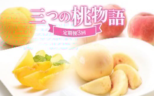 ≪数量限定 期間限定≫三つの桃物語 柔らかめ白桃 黄桃 硬め白桃 定期便【全3回】 FSY-2229