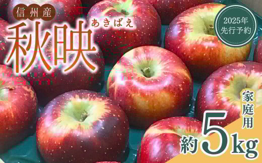 [2025年先行予約]訳あり りんご 秋映(長野県オリジナル品種) 家庭用 約5kg 太陽の恵みたっぷり 林檎 あきばえ 千曲市 長野県産 信州