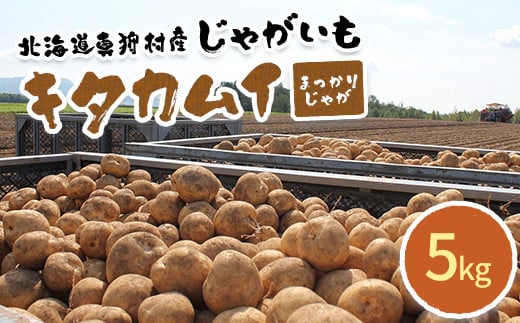 甘くてホクホク！太陽の光をたっぷりと浴びた　北海道真狩村産じゃがいも　キタカムイ「まっかりじゃが」5kg【2025年産】【0116701】 682869 - 北海道真狩村