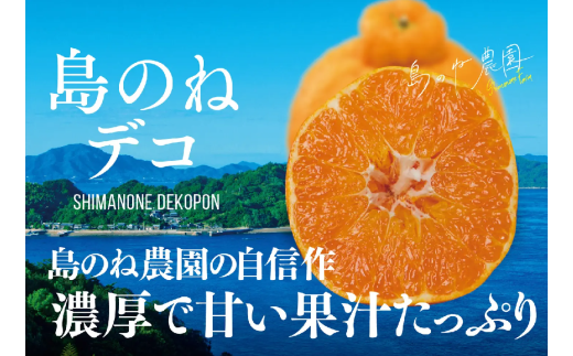 【先行予約】【数量限定】島のね農園のプレミアム不知火 島のねデコ ４ｋｇ[KB01590] 953373 - 愛媛県今治市