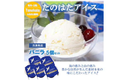 生乳100%で仕上げたなめらかな口溶けアイス バニラ5個セット(120g×5個)【1596859】 2005130 - 岩手県田野畑村