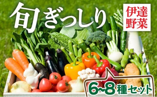 [5525-0703]【 2025年 発送 】 先行予約 新鮮採れたて！旬の伊達野菜セット（6～8種）【オンライン決済限定】