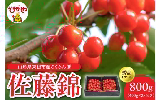 【令和7年産】佐藤錦秀品Ｌサイズ400ｇ×2P 山形県 東根市 有限会社motto提供 hi090-001-1