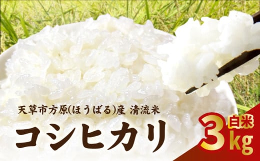 S150-002_天草市方原産　白米（コシヒカリ）3キロ 1430924 - 熊本県天草市