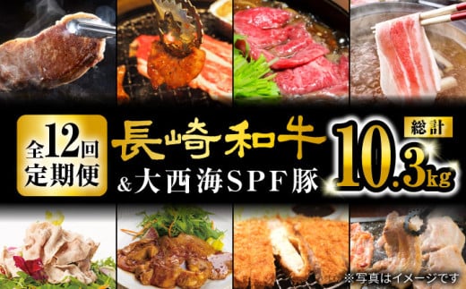 【オールスター定期便☆】【12回定期便】 長崎和牛 大西海SPF豚 定期便 ブランド国産豚＜大西海ファーム＞ [CEK186] 385490 - 長崎県西海市