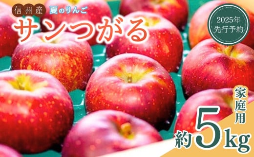 [2025年先行予約]訳あり りんご サンつがる 家庭用 約5kg 夏のりんご林檎 千曲市 長野県産 信州