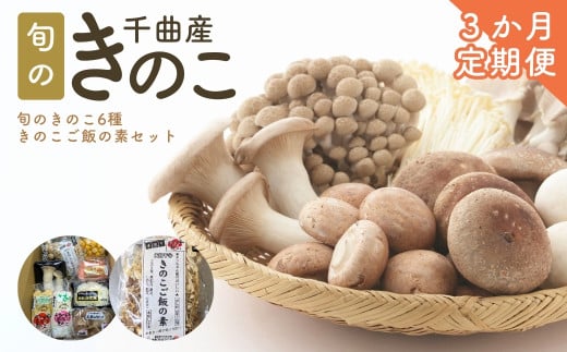 【定期便3ヶ月】旬のきのこ6種+きのこご飯の素セット 有機栽培 炊き込み 信州 長野県産 千曲市 2037756 - 長野県千曲市
