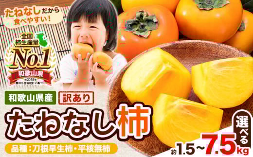 【ご家庭用/訳あり】たねなし柿1.5kg 4kg 7.5kg《2025年9月中旬-11月上旬頃より出荷予定》 和歌山県 紀の川市 柿 カキ かき ジューシー フルーツ st-p