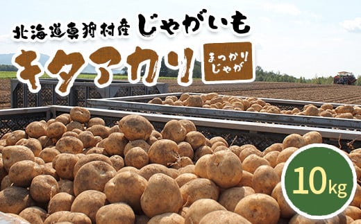 甘くてホクホク！太陽の光をたっぷりと浴びた　北海道真狩村産じゃがいも　キタアカリ「まっかりじゃが」10kg【2025年産】【0114501】 682265 - 北海道真狩村