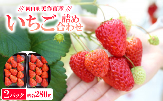 岡山県美作市産　いちご詰合せ(約280g×2パック)【1130056】 778001 - 岡山県美作市