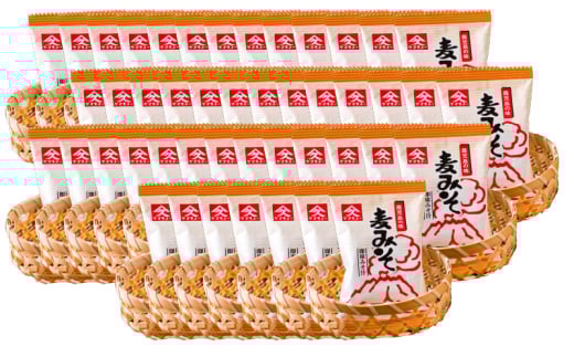 2003 即席みそ汁46食 KN016-010-02 1022342 - 鹿児島県鹿屋市