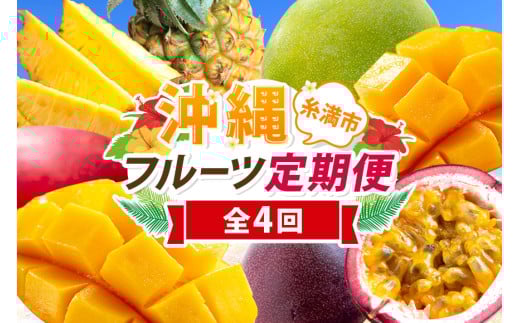  【定期便全4回】沖縄 フルーツ 定期便 4回 パーションフルーツ スナックパイン パイン マンゴー キーツマンゴー フルーツ定期便 果物 パイナップル 沖縄マンゴー 沖縄 夏 旬 フルーツ くだもの 定期便 沖縄県 糸満市  【 先行予約 2025年 発送 】  1424603 - 沖縄県糸満市