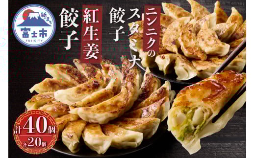 紅生姜餃子 スタミナ餃子 各20個(計40個) セット ギョーザ 創作餃子 野菜 ニンニク おかず おつまみ 食べ比べ 特製 中華 食品 冷凍発送 富士市 [sf001-221]