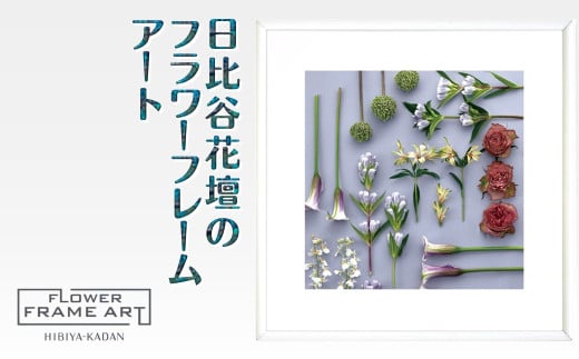 日比谷花壇のフラワーフレームアート Linear Flora Array（直線的な花の配列） ソフケン アルミフレーム 25x25cm