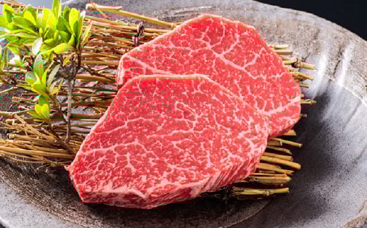 506-1 鹿児島県産黒毛和牛シャトーブリアン4～5枚入（約560g）　KN019-008 1021389 - 鹿児島県鹿屋市