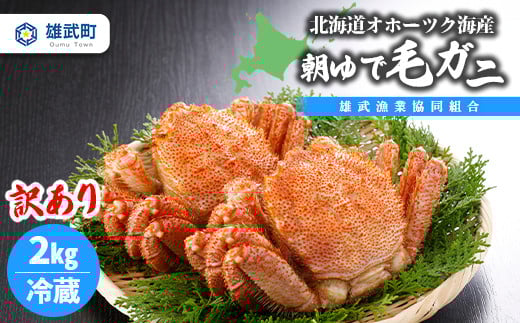 【期間限定5/10まで】北海道オホーツク海産 訳あり　朝ゆで毛ガニ　2kg（冷蔵）【07122】