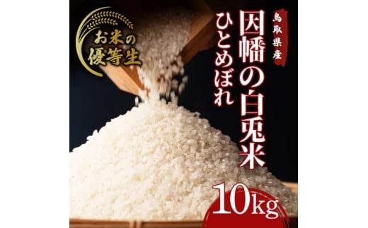 因幡の白兎米 ひとめぼれ 令和7年度産 精米済 10kg(5kg×2袋)