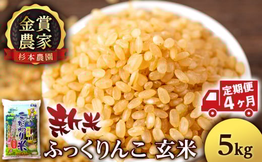 【新米予約】【定期便4回】ふっくりんこ玄米5kg≪杉本農園≫ 2092219 - 北海道知内町