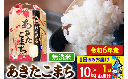 あきたこまち 10kg【無洗米】令和6年産 秋田県産 こまちライン 1685760 - 秋田県八郎潟町