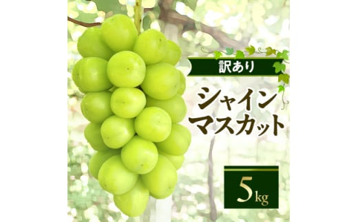 やまなし内藤農園の＜訳あり＞シャインマスカット 5kg【1513206】