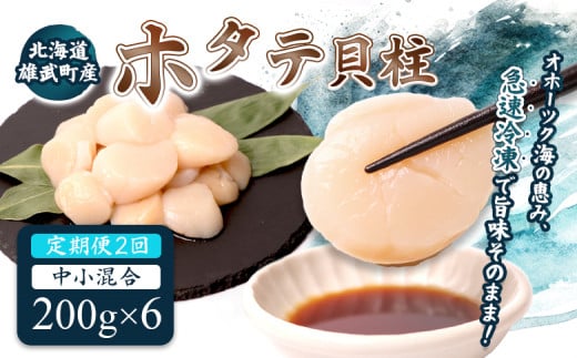 【定期便2回】　北海道雄武町産ほたて貝柱 中小混合 200g×6 (冷凍) 使い切りパック | ふるさと納税 北海道 雄武 ホタテ 帆立 ほたて 小粒 中粒 大粒 200g×6 2.4kg 冷凍 オホーツク オホーツク産 刺身 魚貝 魚介 海鮮 海産 海産物 魚介類 お取り寄せ ワンストップ マイページ 雄武漁業協同組合【07141】 2090210 - 北海道雄武町