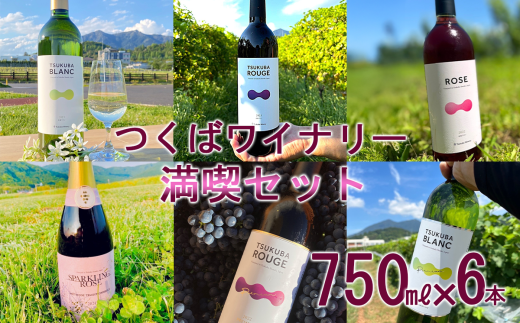 つくばワイナリー 満喫セット 【お酒 葡萄 ぶどう ブドウ 茨城県産 つくば市産 ワイナリー】