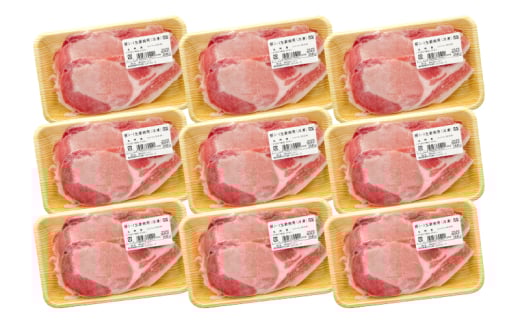 2707 九州産豚ロース生姜焼き(200g×9パック) KN102-003 1505046 - 鹿児島県鹿屋市