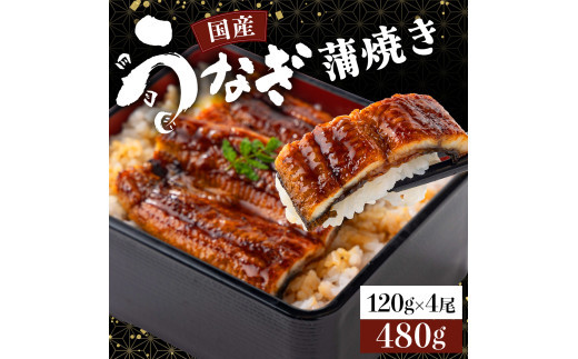 国産うなぎ蒲焼 合計480g(120g×4尾)《着日指定可能》U006 616702 - 高知県東洋町