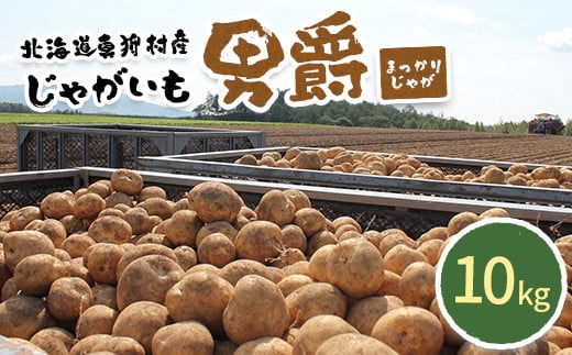 甘くてホクホク！太陽の光をたっぷりと浴びた　北海道真狩村産じゃがいも　男爵「まっかりじゃが」10kg【2025年産】【0114601】 682264 - 北海道真狩村