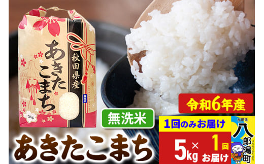 あきたこまち 5kg【無洗米】令和6年産 秋田県産 こまちライン 1685759 - 秋田県八郎潟町