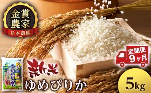 【新米予約】【定期便9回】ゆめぴりか5kg≪杉本農園≫ 2092188 - 北海道知内町