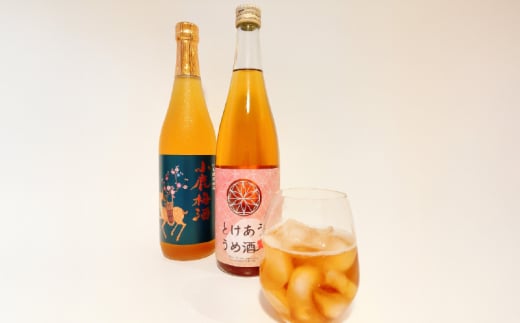 2153 梅酒 本格焼酎 仕込み 飲み比べ 720ml × 2本　KN046-006 1023003 - 鹿児島県鹿屋市