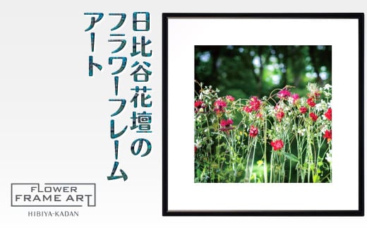 日比谷花壇のフラワーフレームアート Sunlit Bloom（陽光満開） ソフケン アルミフレーム 25x25cm
