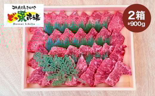 2879 A5ランク鹿児島産黒毛和牛モモ焼肉木箱 900g 450g×2箱 KN010-004-02 2005989 - 鹿児島県鹿屋市