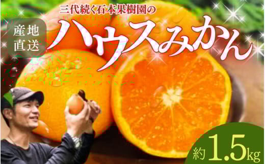 [先行予約]石本果樹園の美味しいハウスみかん 約1.5kg 12〜15玉前後 化粧箱入り[7月初旬から8月初旬までに順次発送] / みかん フルーツ くだもの 果物 ハウスみかん 贈答