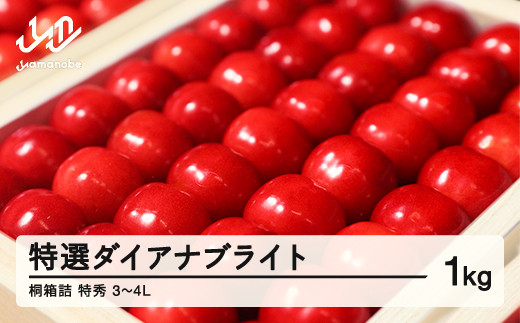 《先行予約》贈答用 2025年 山形県産 さくらんぼ 特選ダイアナブライト 桐箱詰 1kg 特秀 3～4L 2025年6月下旬から順次発送  F20A-035 486389 - 山形県山辺町